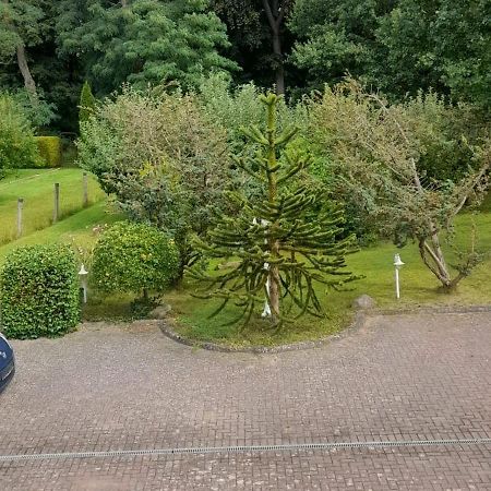Pension Zum Park Goldberg Extérieur photo