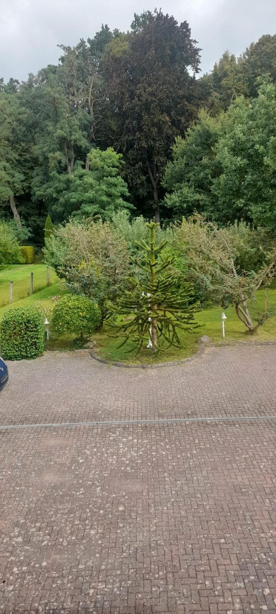 Pension Zum Park Goldberg Extérieur photo